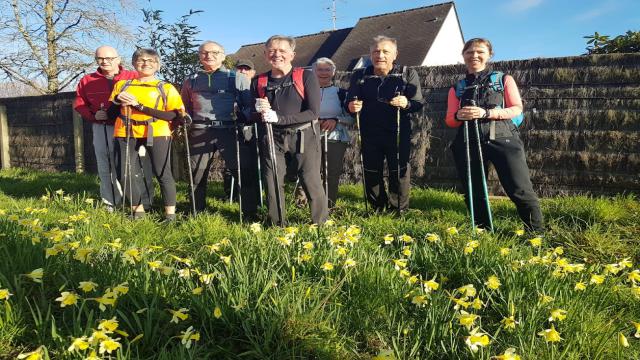 Groupe de marcheurs posant dans un champ de jonquilles