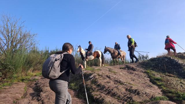 Groupe au Boël avec des chevaux en arrière plan