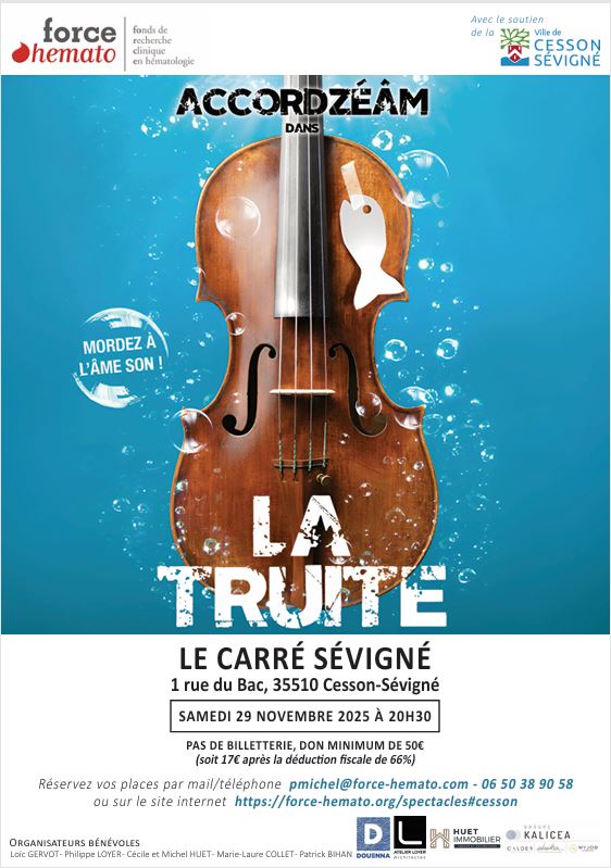 violon